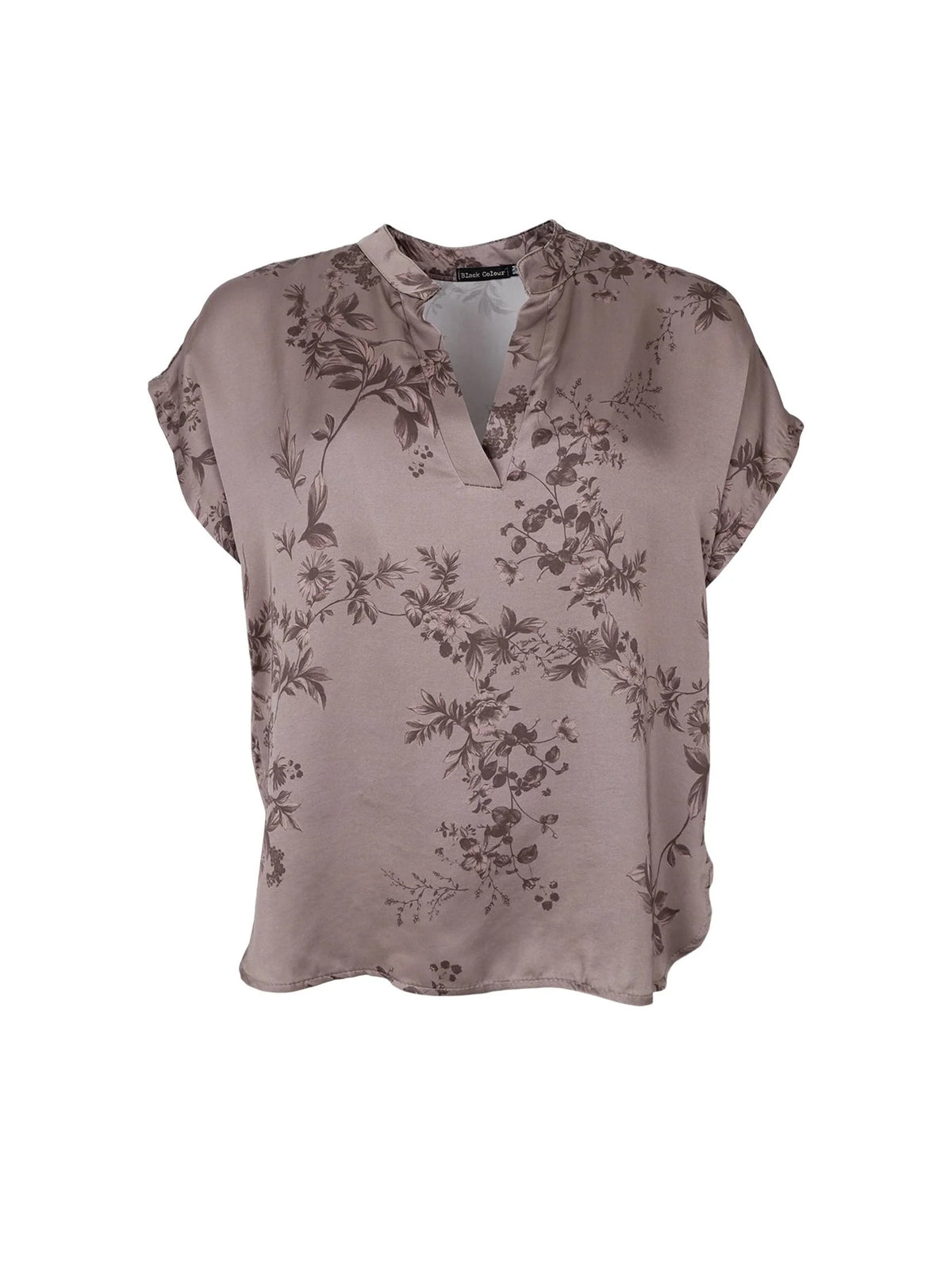 BCNANCY blus - Taupe